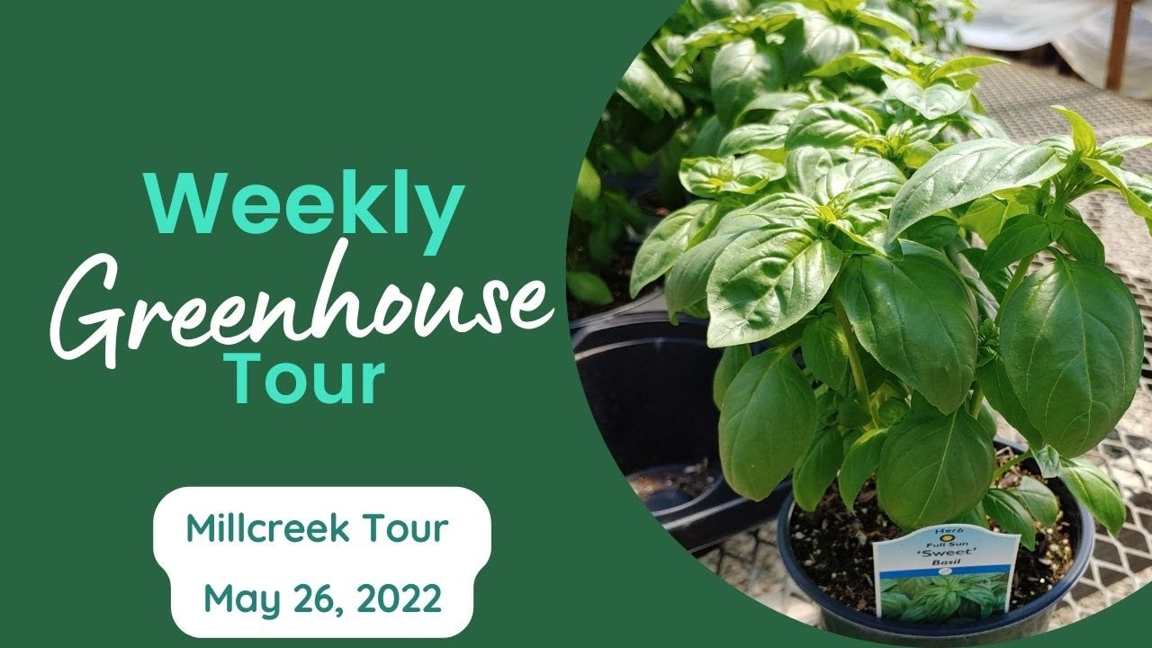 Millcreek Gardens Greenhouse Tour May 26 2022