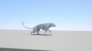Tiger Run - Rig Test (WIP)
