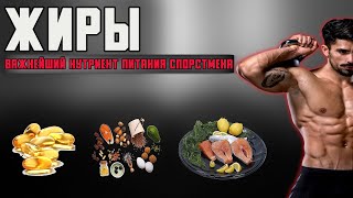 видео: Жиры и их роль в организме. Сколько нужно жиров? Опасность избытка и недостатка. Классификация жиров картинка: Жиры и их роль в организме. Сколько нужно жиров? Опасность избытка и недостатка. Классификация жиров