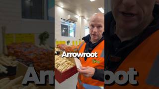 New product: Arrowroot