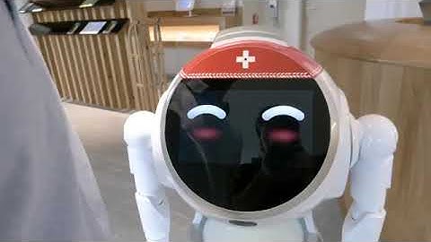 Cruzr Features  Voice Recognition