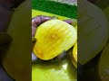 how to cut mango cubes cutting #mango #mangorecipe #foodshorts #fruit #food #shorts #yummy