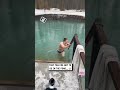 Don't f**k with swans 🦢