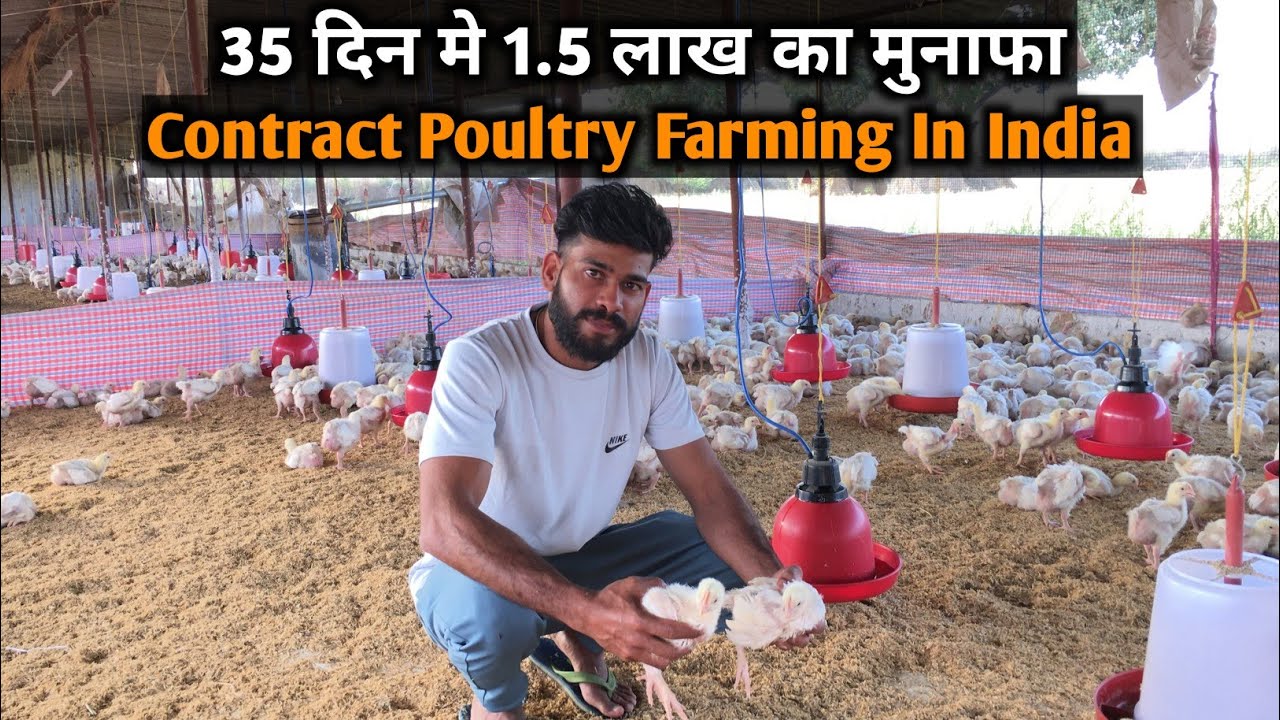 Poultry Farming मे लाखो का Profit | Contract Poultry Farming In India