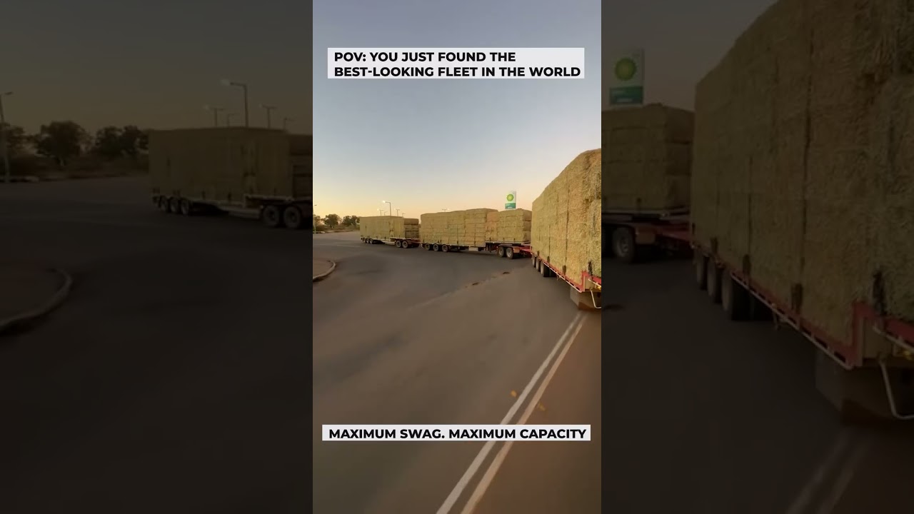 Triple Hay Hauler ASMR: Listen to that Purr 🎶🚛