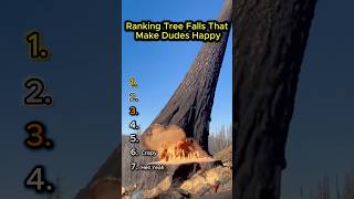 Ranking Tree Falls That Make Dudes Happy