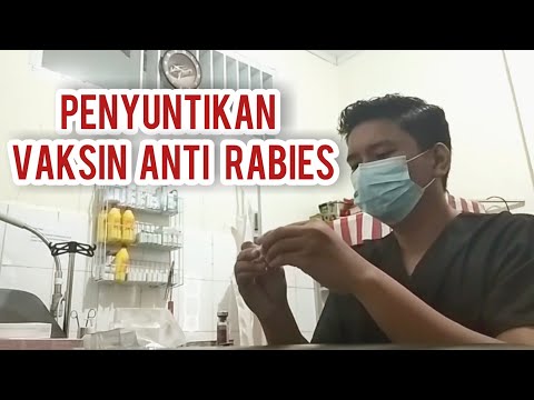 Video: 20 Anjing yang Menyukai Anda Untuk Bangun Sekarang