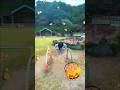 家族で運動☆マイントピア別子編