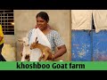 शानदार बकरी फार्म | Khushboo  Goat farm