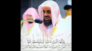 تلاوة خاشعة تأخدك لعالم آخر للشيخ سعود الشريم من سورة المائدة 🌿😴 #سعود_الشريم