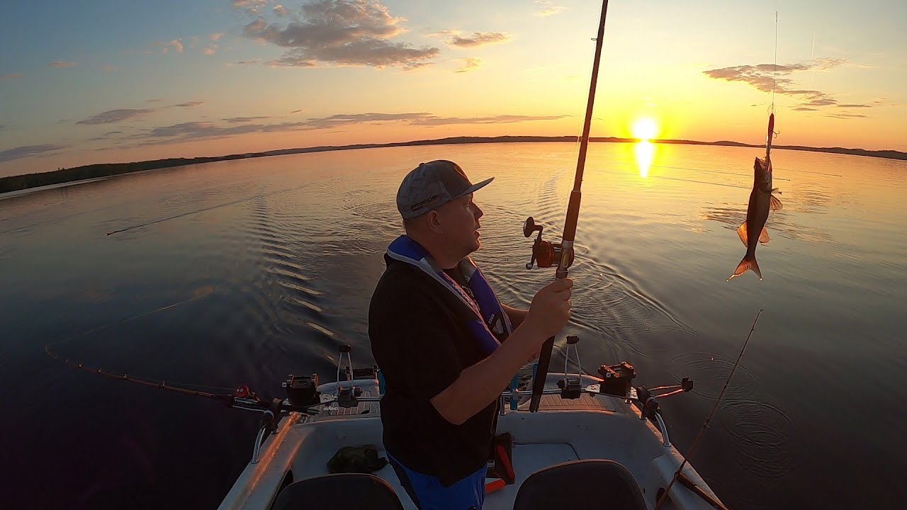 Koitereen kuhahelvetti