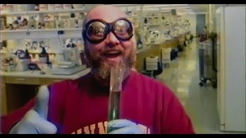 UMN CSE Give to the Max Day 2020