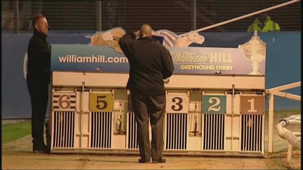 2011 GREYHOUND DERBY FINAL - TAYLORS SKY