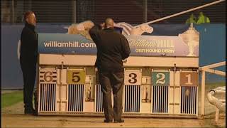 2011 GREYHOUND DERBY FINAL - TAYLORS SKY News