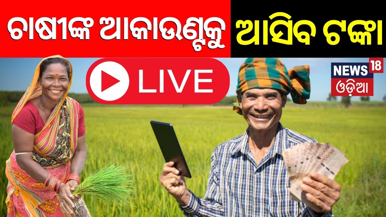 live-paddy-msp-per-quintal-will-be-increased-to