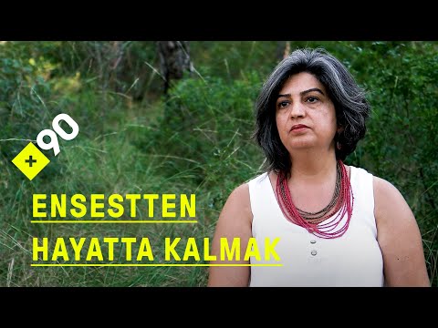 Ensestten hayatta kalmak I Ensest: \