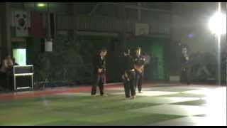 Demo Viet Vo Dao Hagetmau 2012.avi