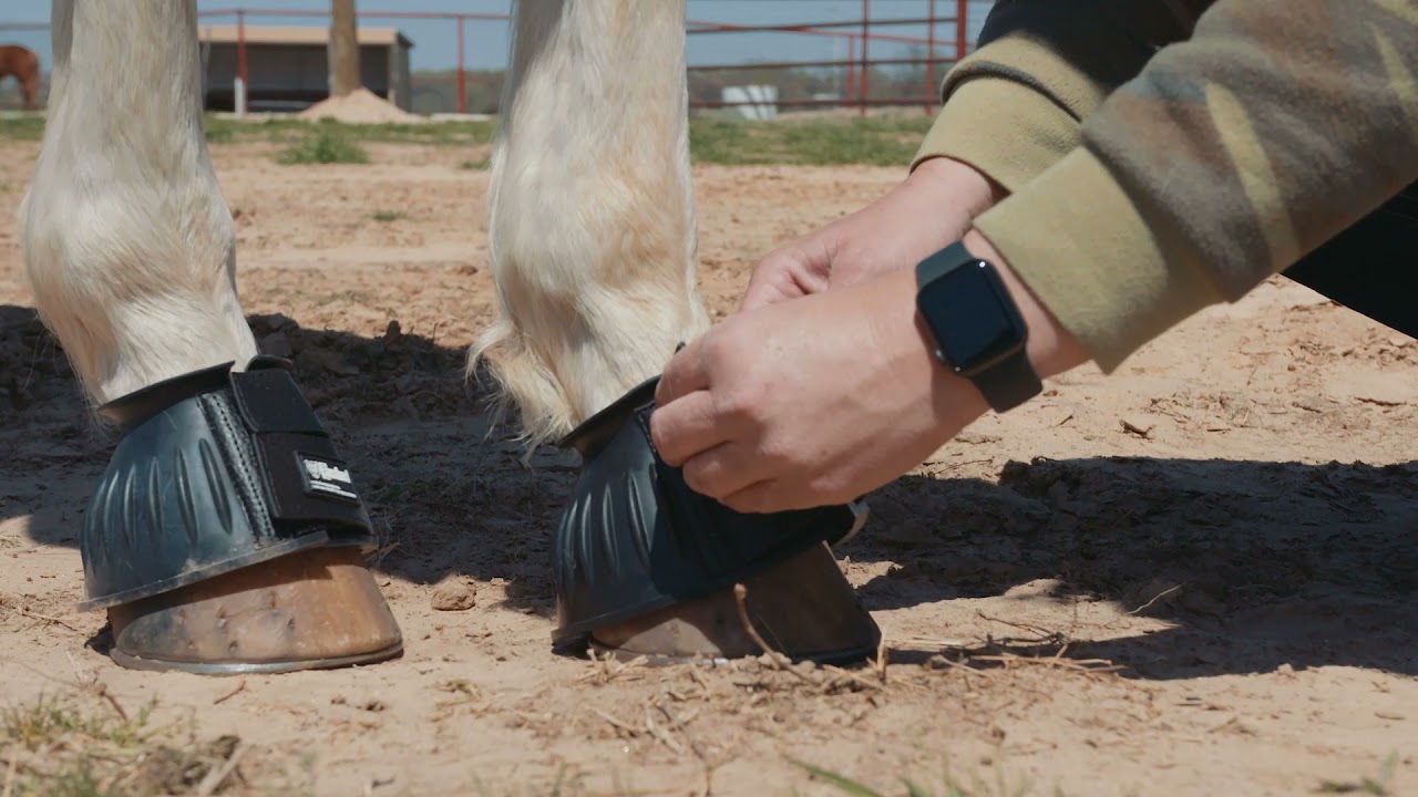 Cashel Rubber Bell Boot