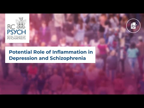 Potential Role of Inflammation in Depression and Schizophrenia