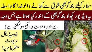 What are the disadvantages of  Eats Cabbage Salad | band ghobi | cabbage health benefits | Malumat