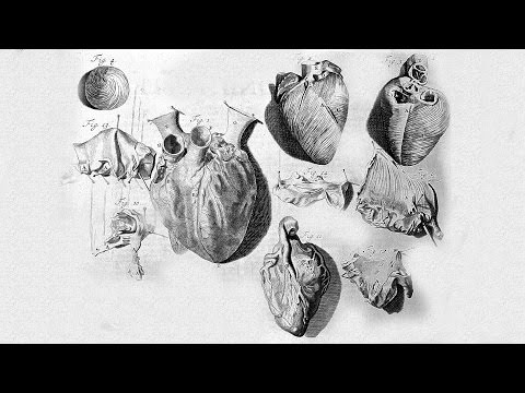 A Child in the Healthcare System: The Tetralogy of Fallot - Professor Martin Elliott Instructional Video