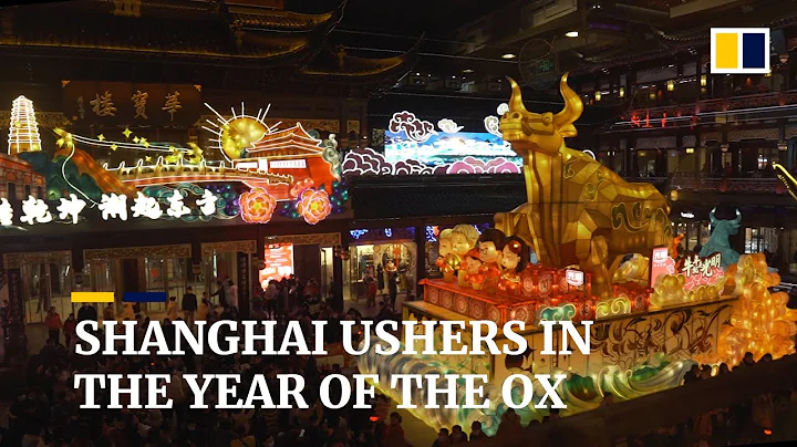 Shanghai celebrates Year of the Ox with temple visits and lanterns - DayDayNews