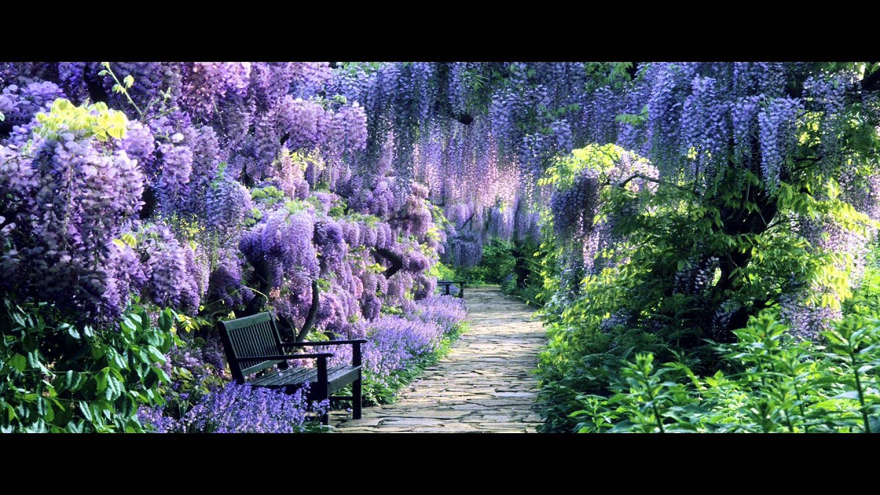 Sequent Industry - Promiseland [FREE TRACK]