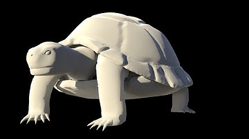 3D Tortoise model assembly - printable