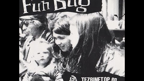 Fun Bug – Tezbinetop