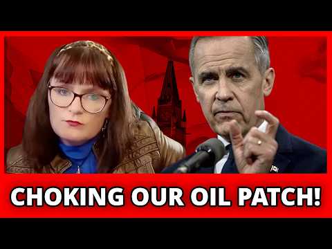 YTDown com YouTube Economist explains the hidden cost of Ca Media wtfbJrqqH9Y 001 1080p