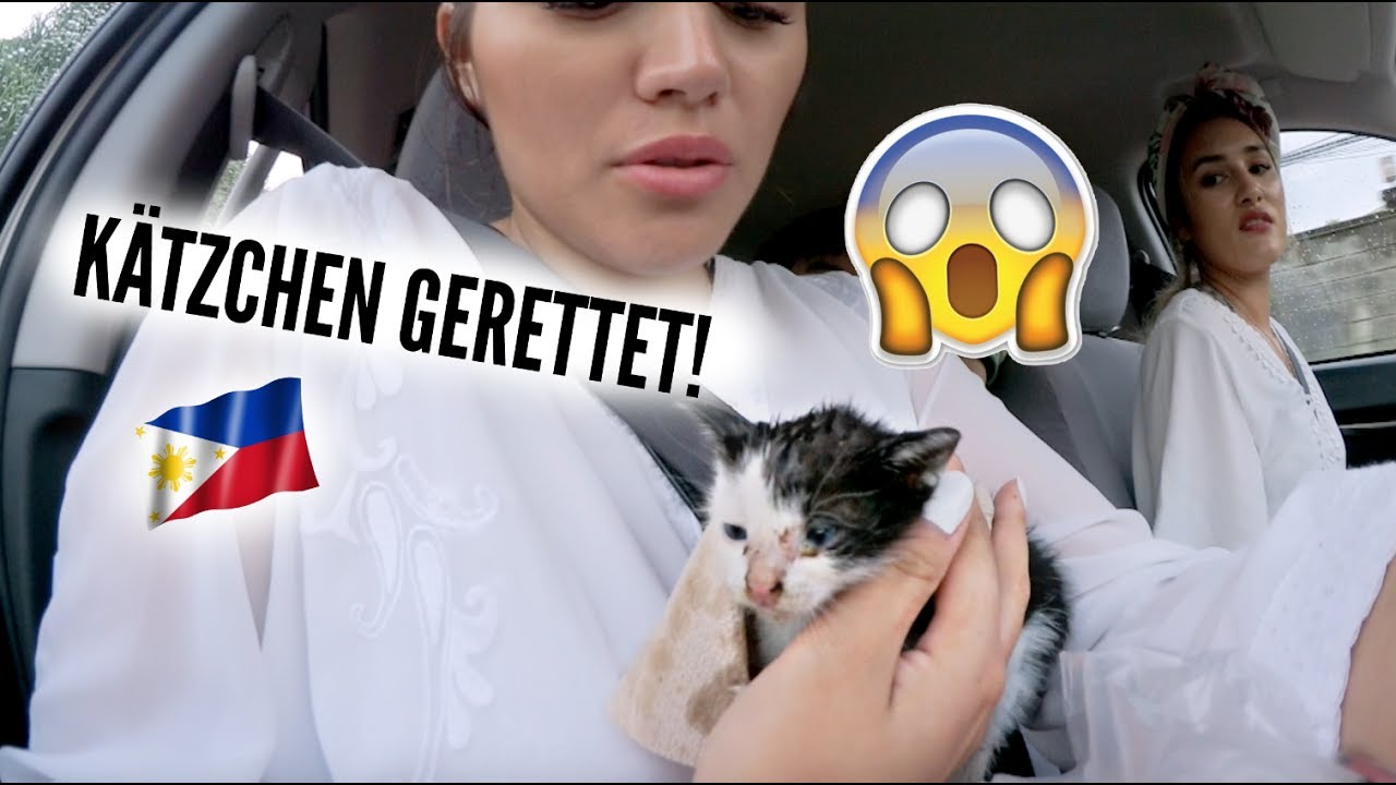 Katzchen Vorm Tod Gerettet 17 06 2017 Ankat Youtube