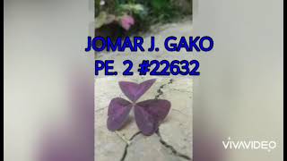 Performance Task 7 * Cardiovascular Fitness * PE. 2 #22632 *JOMAR J. GAKO Profile