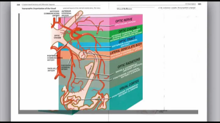 Anatomic Basis of Neurologic Disorders