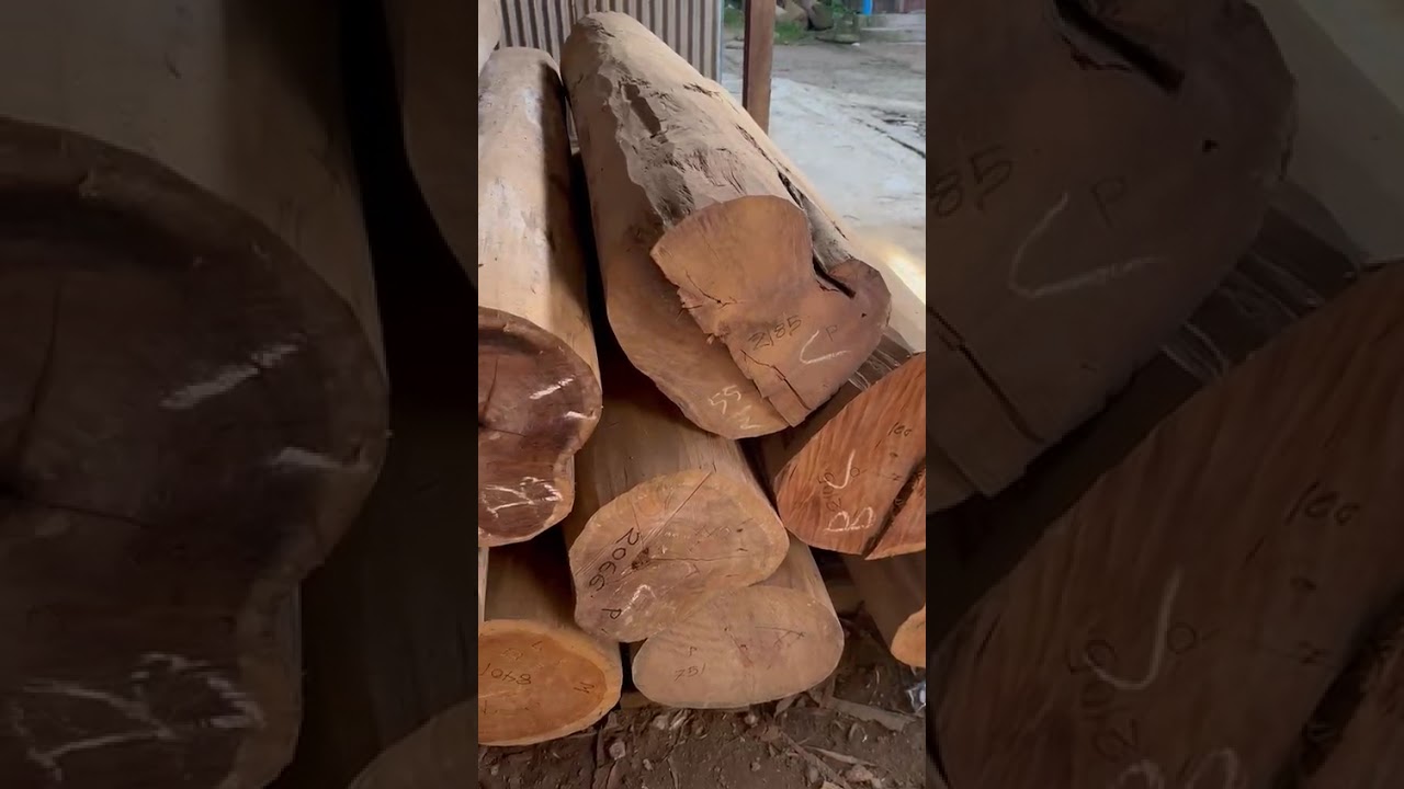 আমাদের দোকান এবং কাঠ সমূহ | ভাই ভাই টিম্বার অ্যান্ড স’ মিলস অবস্থান: বালিগাঁও বাজার