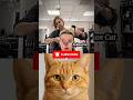 It's not what you #19 😂⁉️#cat#meme#funny#trending#viralcat#dance#catvideo