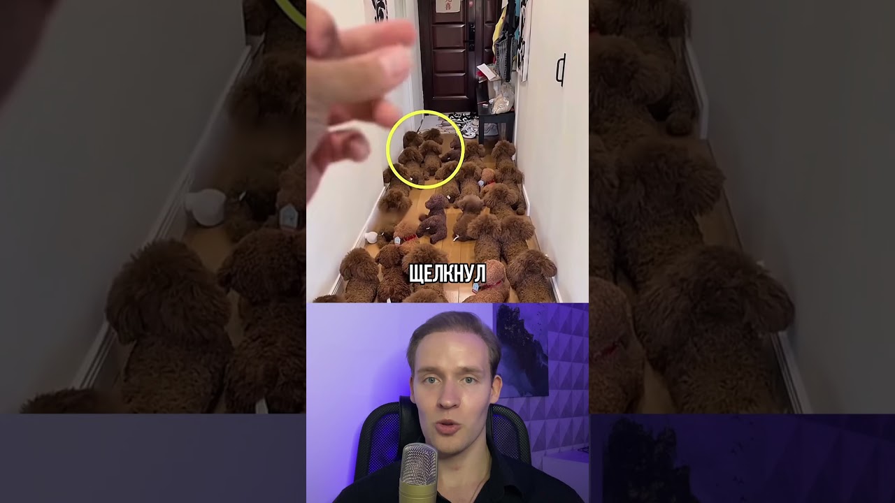 Попробуй Найти Эту Хитрую Собачку 😄 