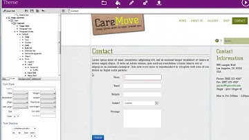 TOWeb - Highlight the mandatory fields of a form