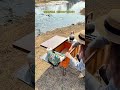 How cool is outdoor camping Did you know So how to choose a camping table What equipme