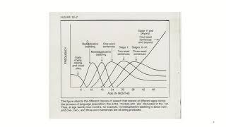 PSYCH360 Cognitive Processes, Online Module 10, 2 The language acquisition device and language featu