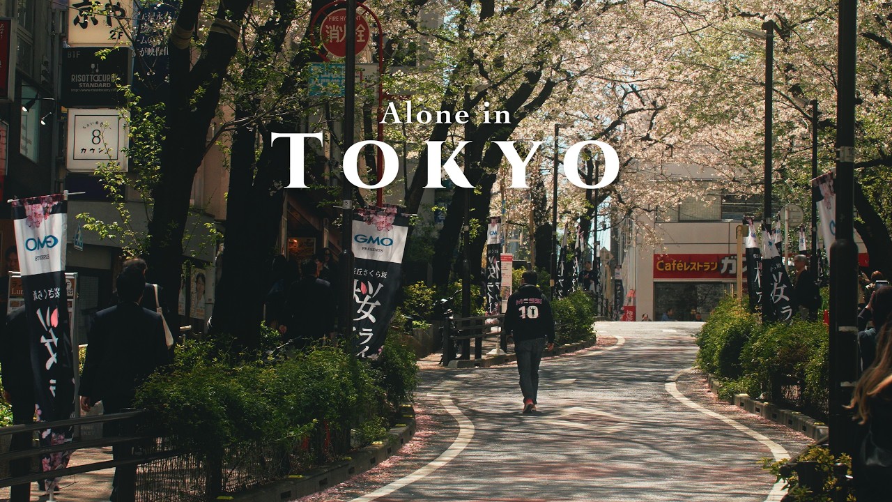 If You're Missing Sakura in Tokyo | Shibuya, Nakameguro, Aoyama, Roppongi