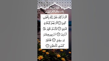 "Surah Al-Fil | The Army of the Elephant | سورة الفيل"