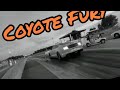 TREMEC STICK SHIFT SHOOTOUT NMRA OHIO 2022 COYOTE FURY 2018 MUSTANG MANUAL