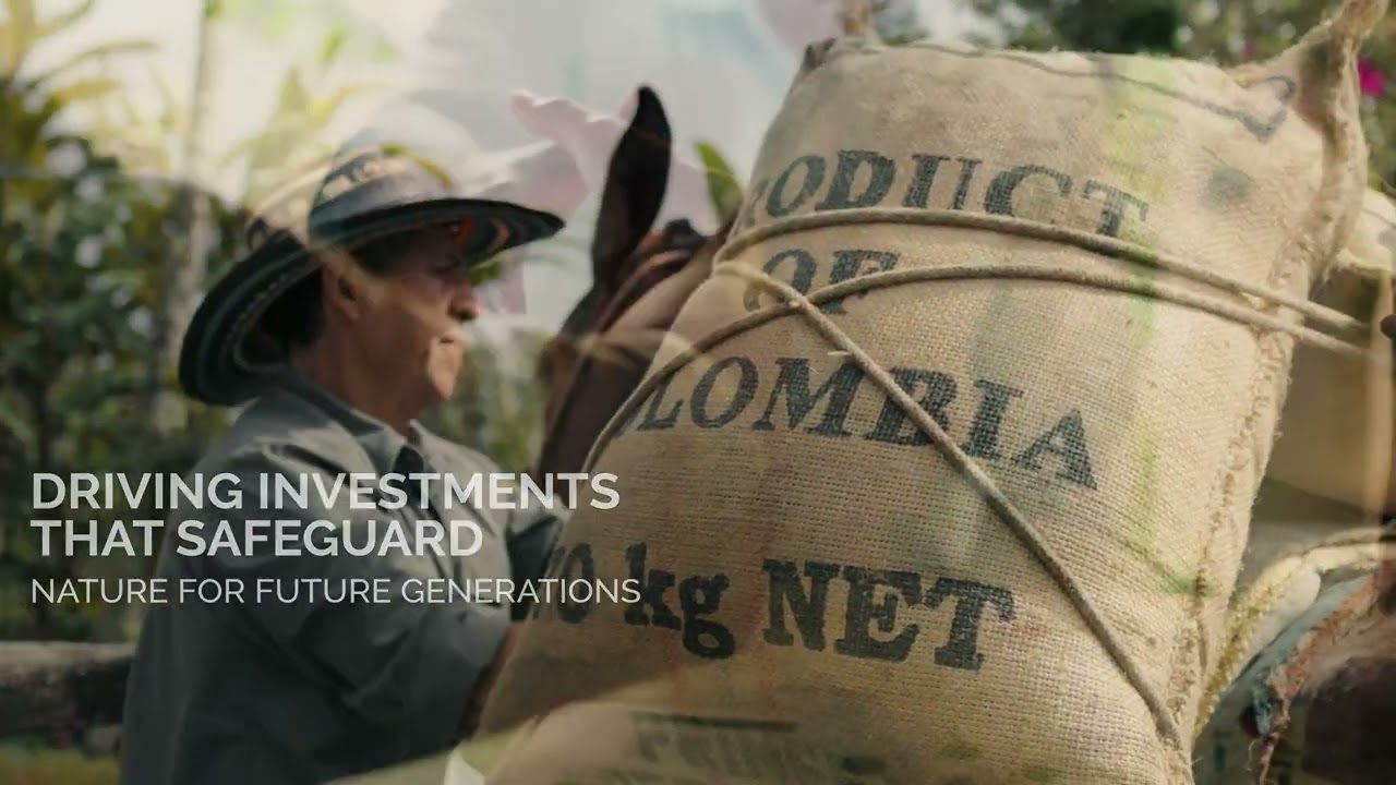 Second Global Biodiversity and Finance Day | Convention on Biological Diversity | COP16 2024 – v1