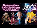 Supreme Arena Top Players in District 8 [AFK Journey]