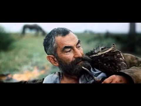 Много мудрости   много печали