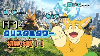 【ゲーム配信】FF14初見クリスタルタワー攻略！【ハムスターVtuber/日葵橙秋兎】