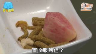 超萌飛鼠熱潮襲港蜜袋鼯棄養率高因為