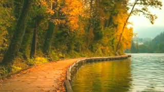 Andre Rieu I Have A Dream