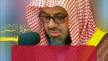 تلاؤة عذبة لسورة النمل لم أجد لها وصف رائعة جداً، عالم من الطمأنينة .الشيخ سعود الشريم