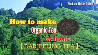 How to make organic tea at home ||  Darjeeling Tea || home made organic tea